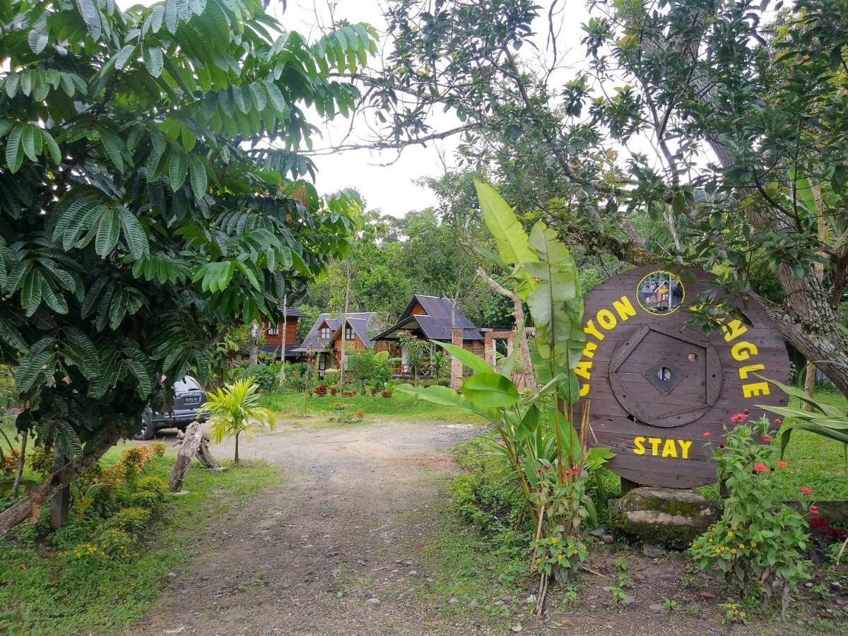 Canyon Jungle Stay Bukittinggi Exterior foto
